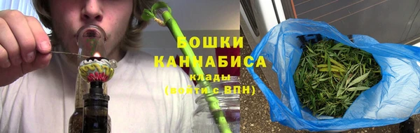 индика Куйбышев
