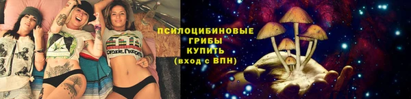 прущая мука Кулебаки