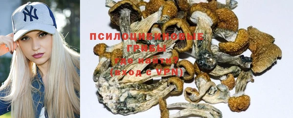 индика Куйбышев