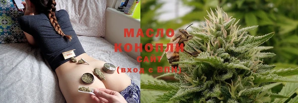 индика Куйбышев