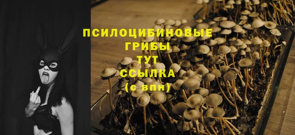 индика Куйбышев