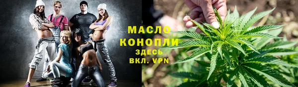 индика Куйбышев